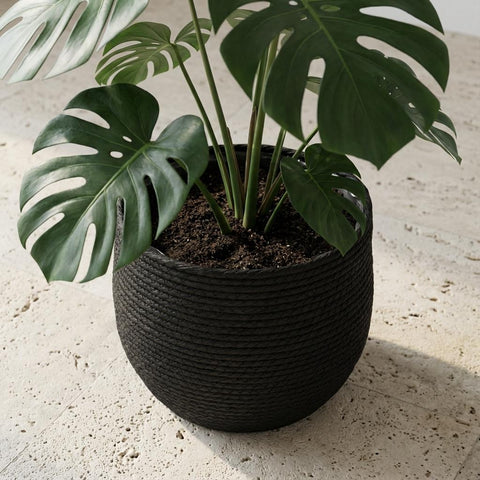 Mand Jorck - 26cm