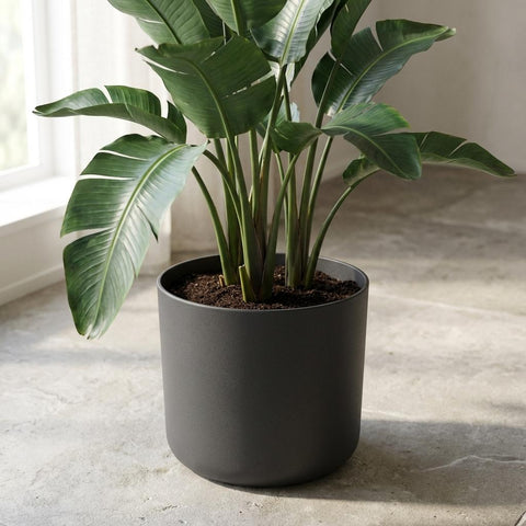 B.for soft anthrazit - 25cm | Elho