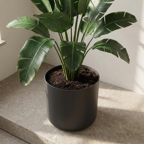 B.for soft anthrazit - 35cm | Elho