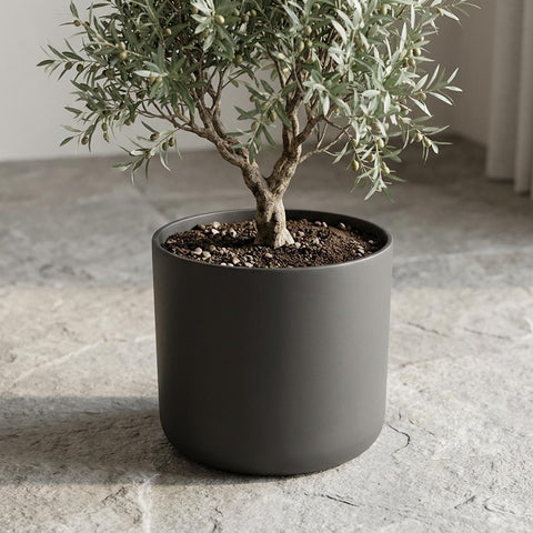 B.for soft anthrazit - 35cm | Elho