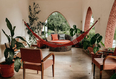 Zimmerpflanzen auf einer Terrasse 