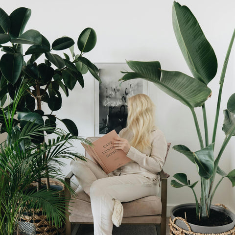 Frau die im Raum mit großen Zimmerpflanzen liest