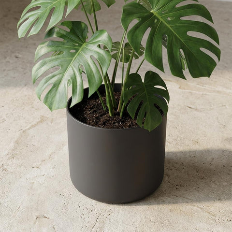 B.for soft anthrazit - 35cm | Elho