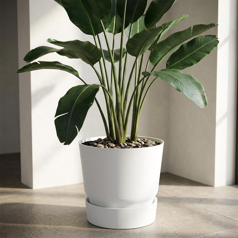 Greenville - 20cm | Elho