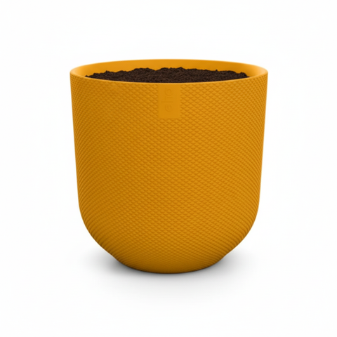 Jazz - 23cm | Elho