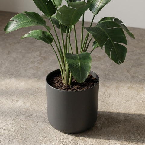 B.for soft anthrazit - 18cm | Elho