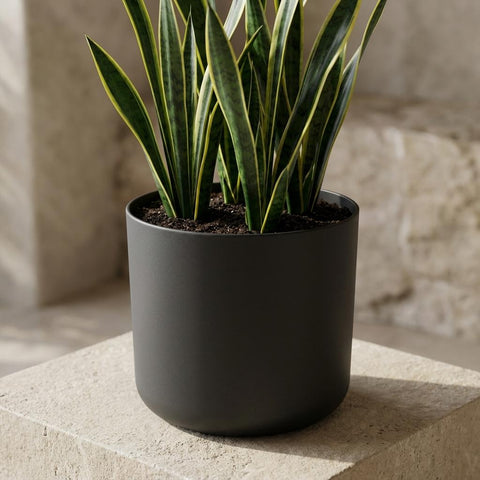 B.for soft anthrazit - 18cm | Elho