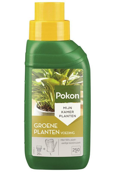 Pokon Grünpflanzen Dünger 250 ml